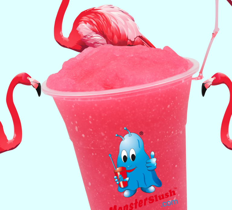 Verschiedene Sorten Sirup für Slush Ice Windeck